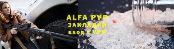 гидра Ельня